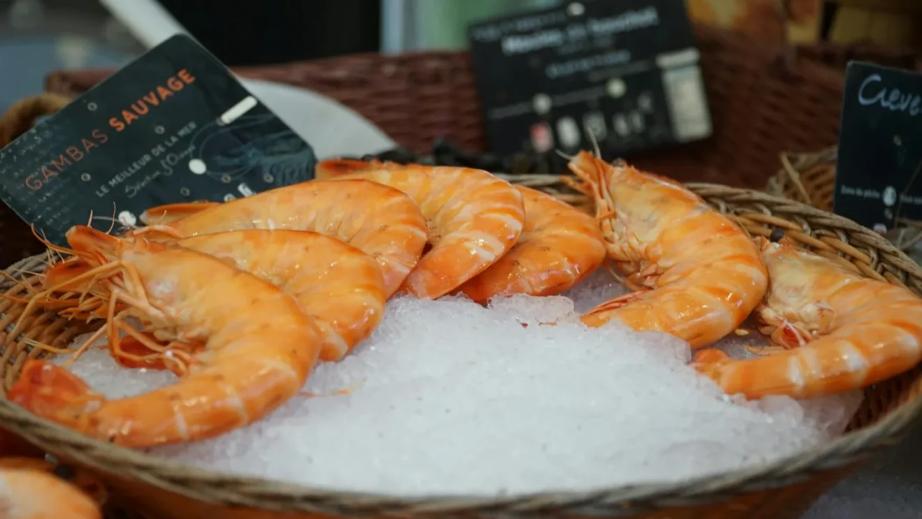 Meilleures lessives en poudre : comment bien choisir ?