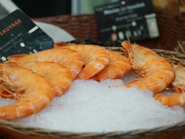 Meilleures lessives en poudre : comment bien choisir ?